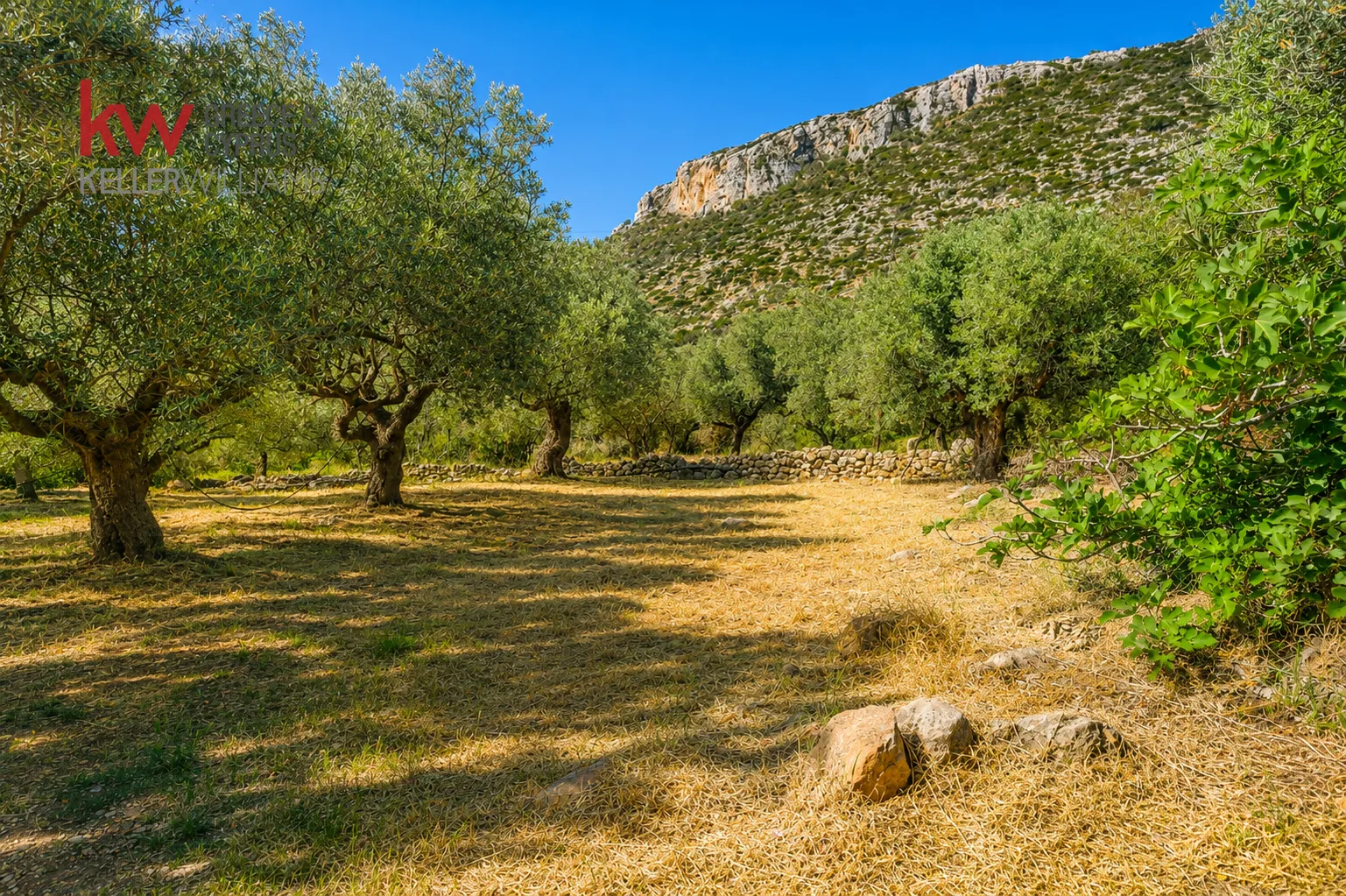 Οικόπεδο 2428τ.μ.  - 2