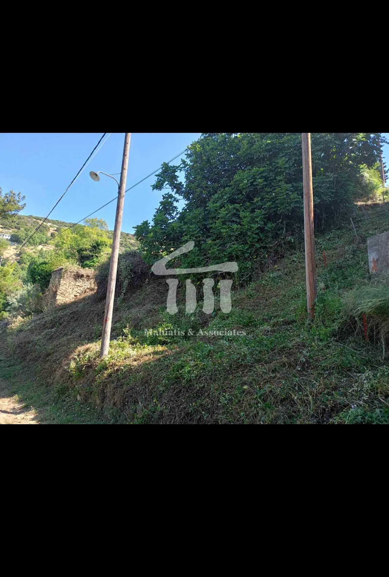 Οικόπεδο 244τ.μ.  - 5