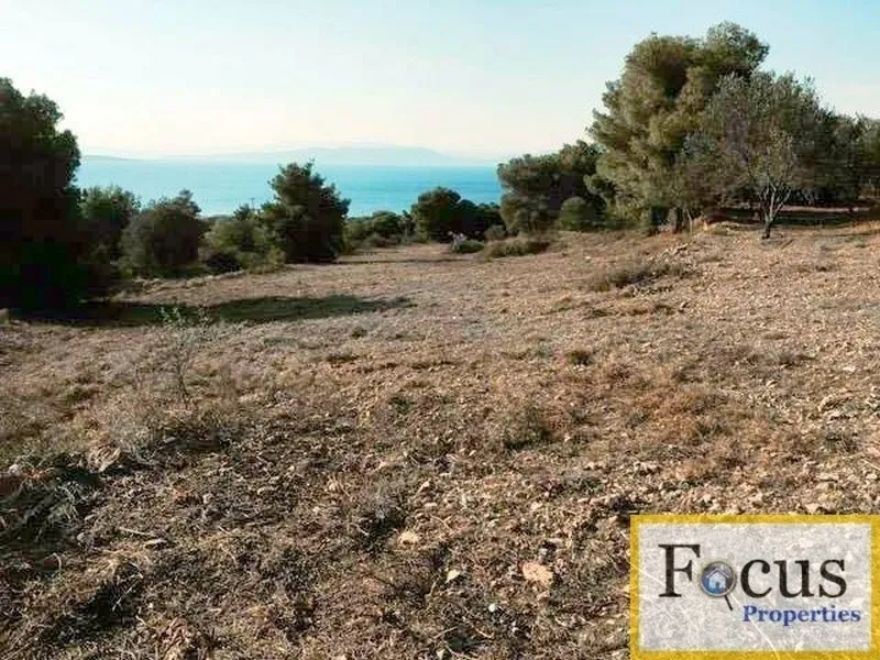 Plot 12445m²  - 2