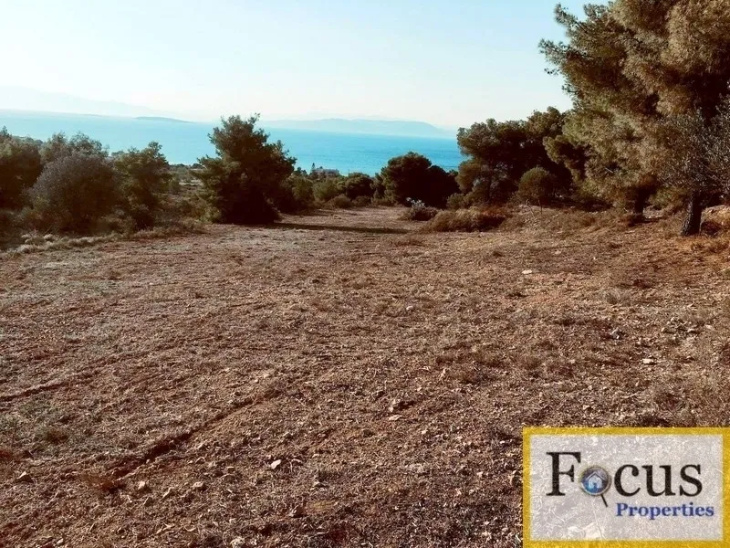 Plot 12445m²  - 3
