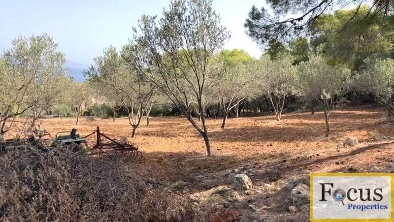 Plot 12445m²  - 4