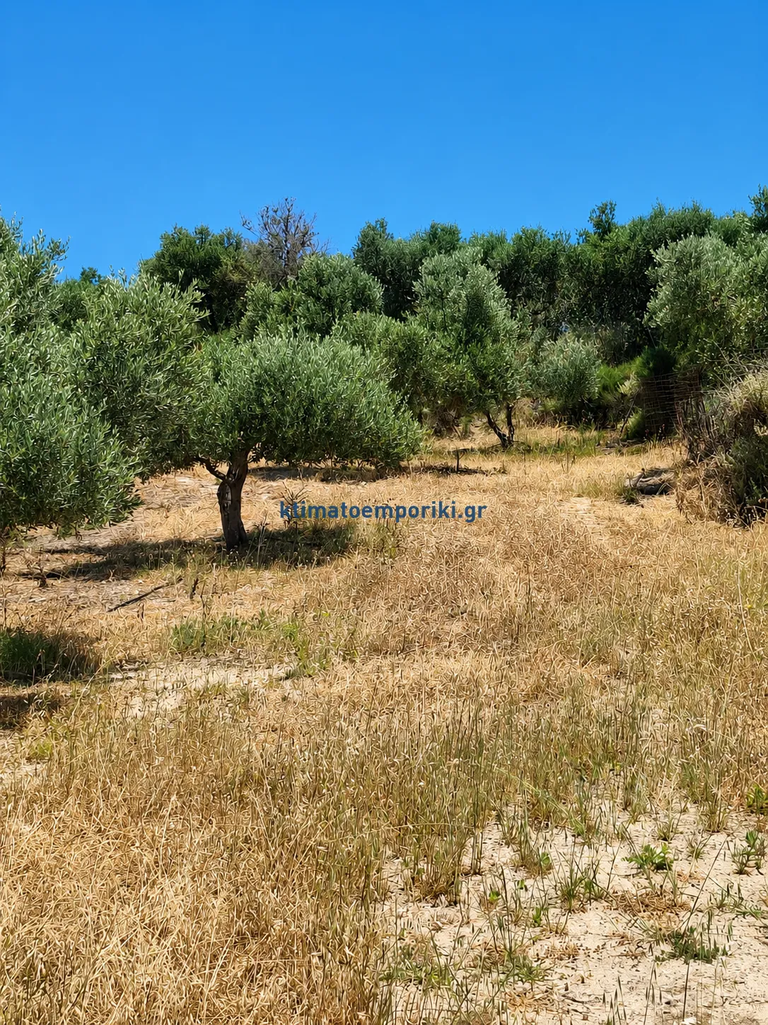 Οικόπεδο 900τ.μ.  - 4