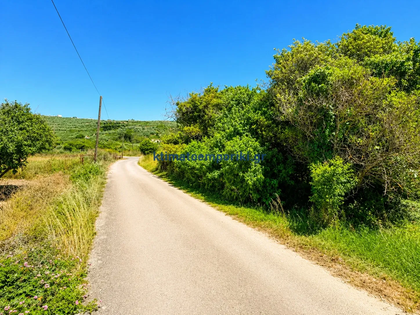 Plot 303m²  - 3