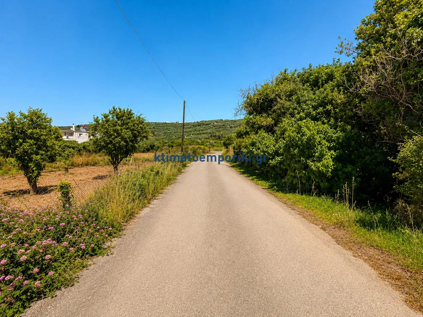 Plot 303m²  - 4