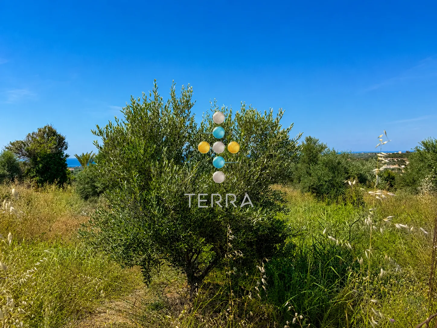Plot 1447m²  - 2