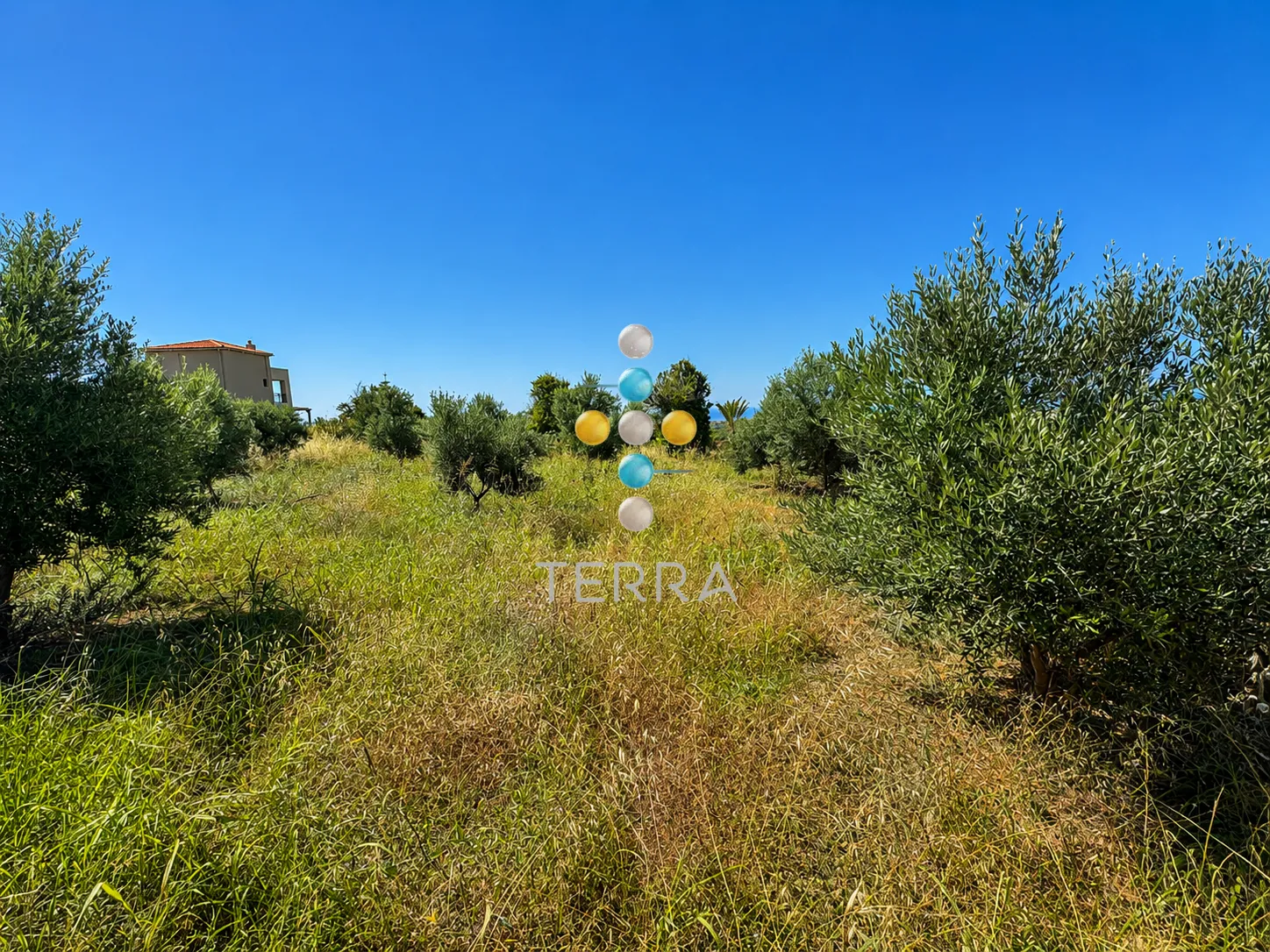 Plot 1447m²  - 3