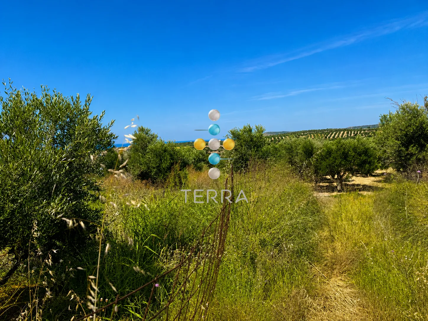 Plot 1447m²  - 4