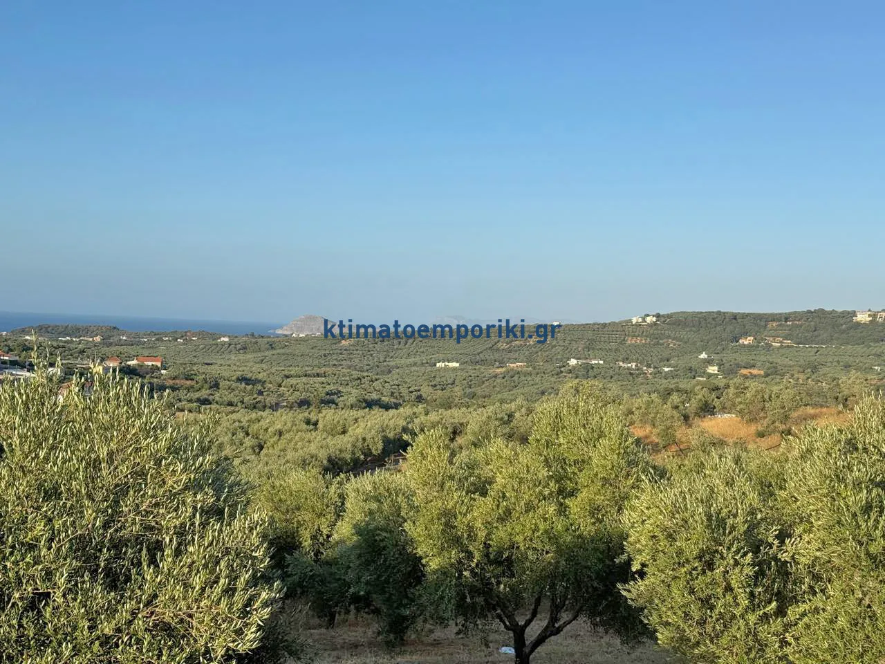 Plot 2600m²  - 2