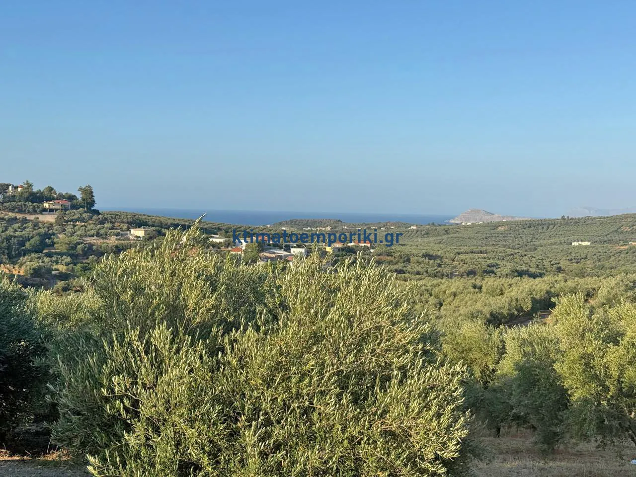 Plot 2600m²  - 4
