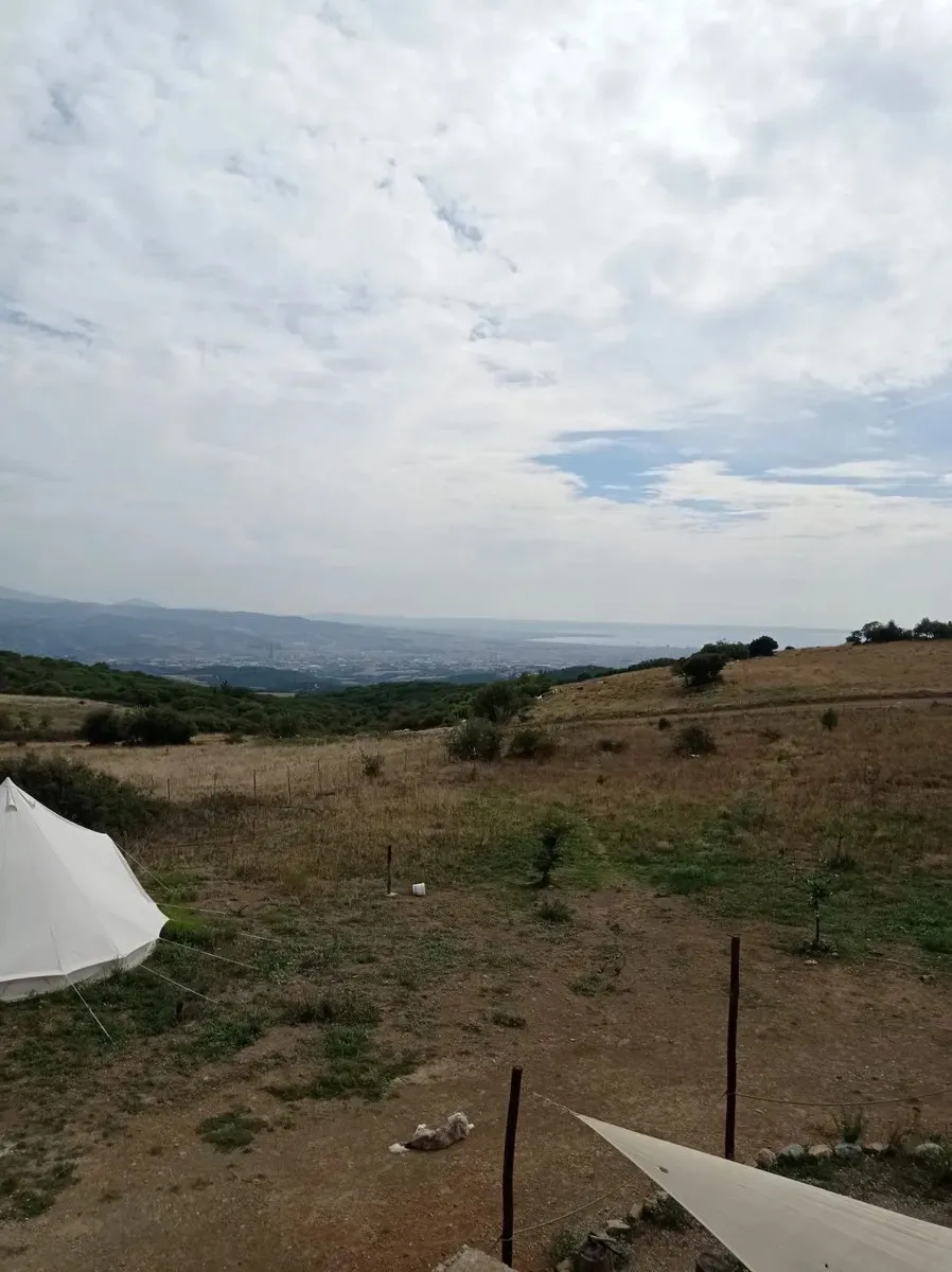 Μεζονέτα 390τ.μ.  - 5
