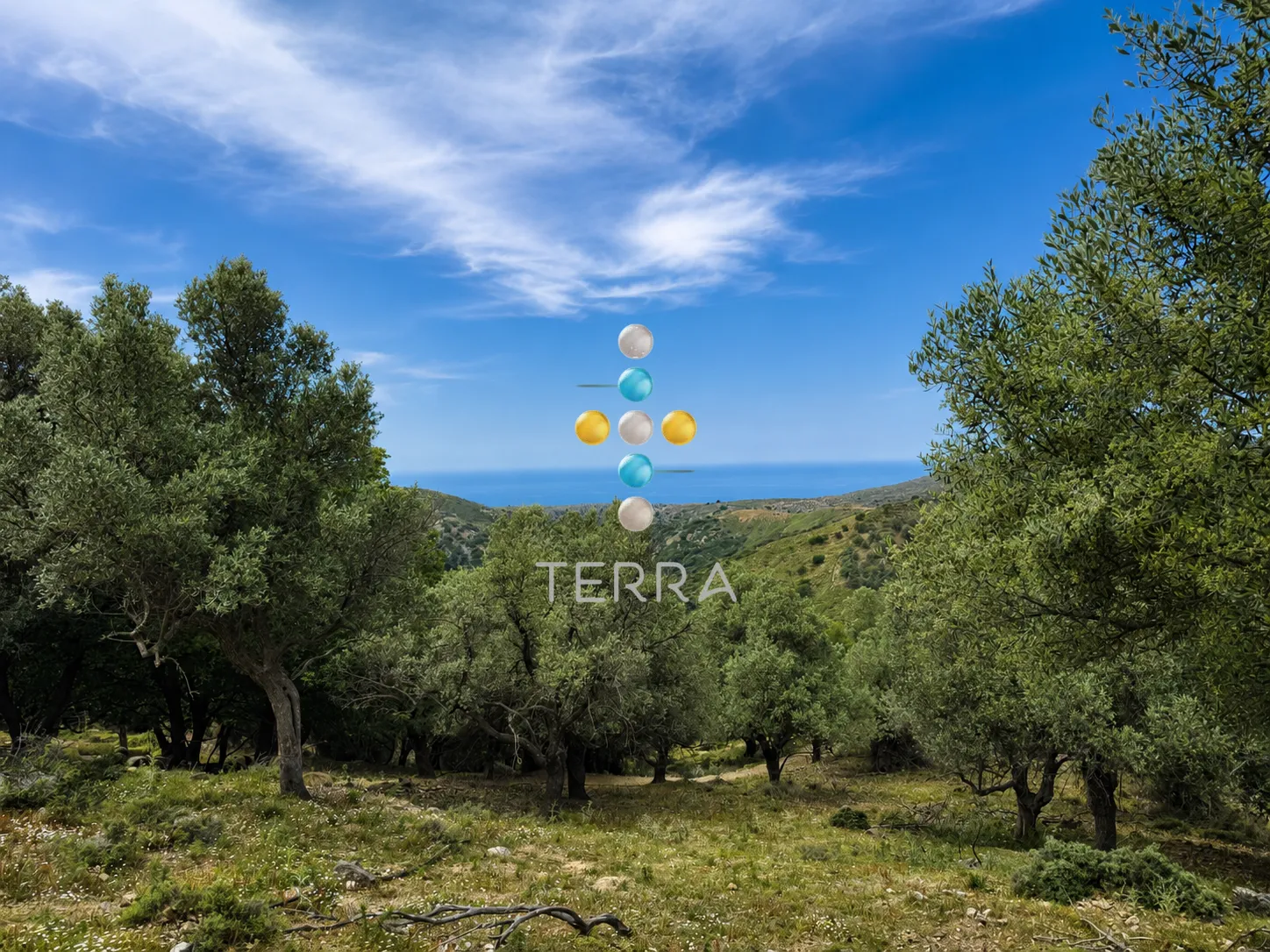 Αγροτεμάχιο 6618τ.μ.  - 2
