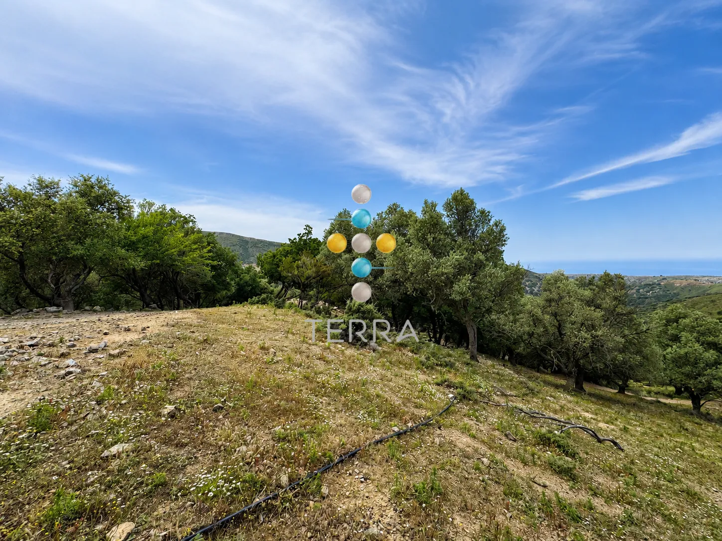 Αγροτεμάχιο 6618τ.μ.  - 5