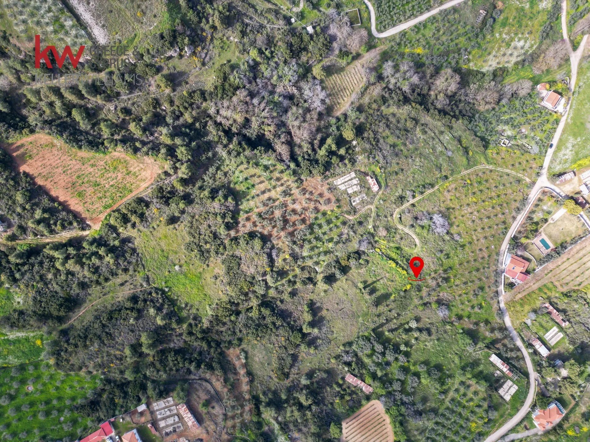 Plot 21900m²  - 4