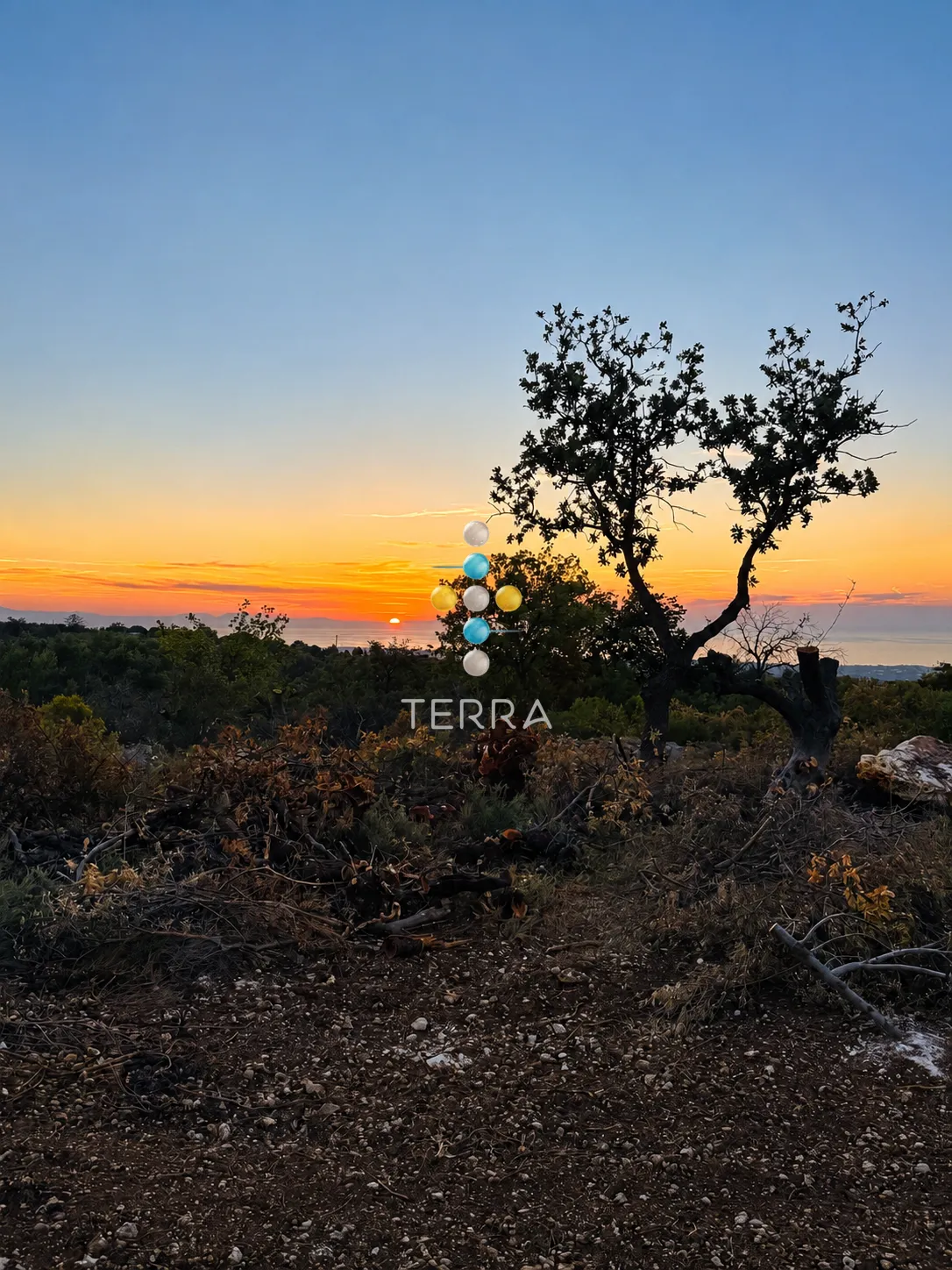 Αγροτεμάχιο 7057τ.μ.  - 3