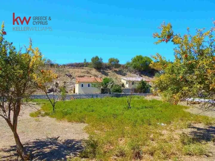 Αγροτεμάχιο 2974τ.μ.  - 2
