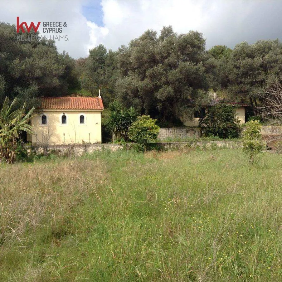 Αγροτεμάχιο 2974τ.μ.  - 3