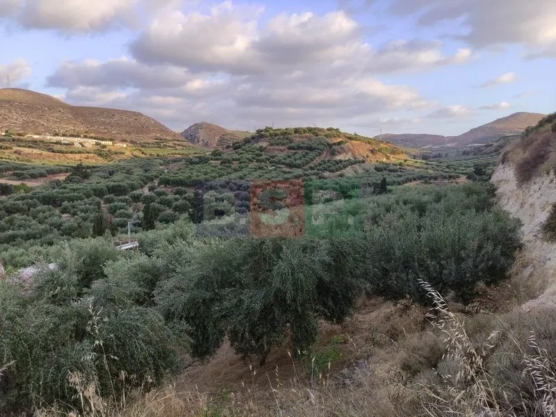 Land Parcel 18000m²  - 3