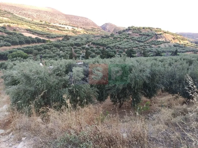 Land Parcel 18000m²  - 4