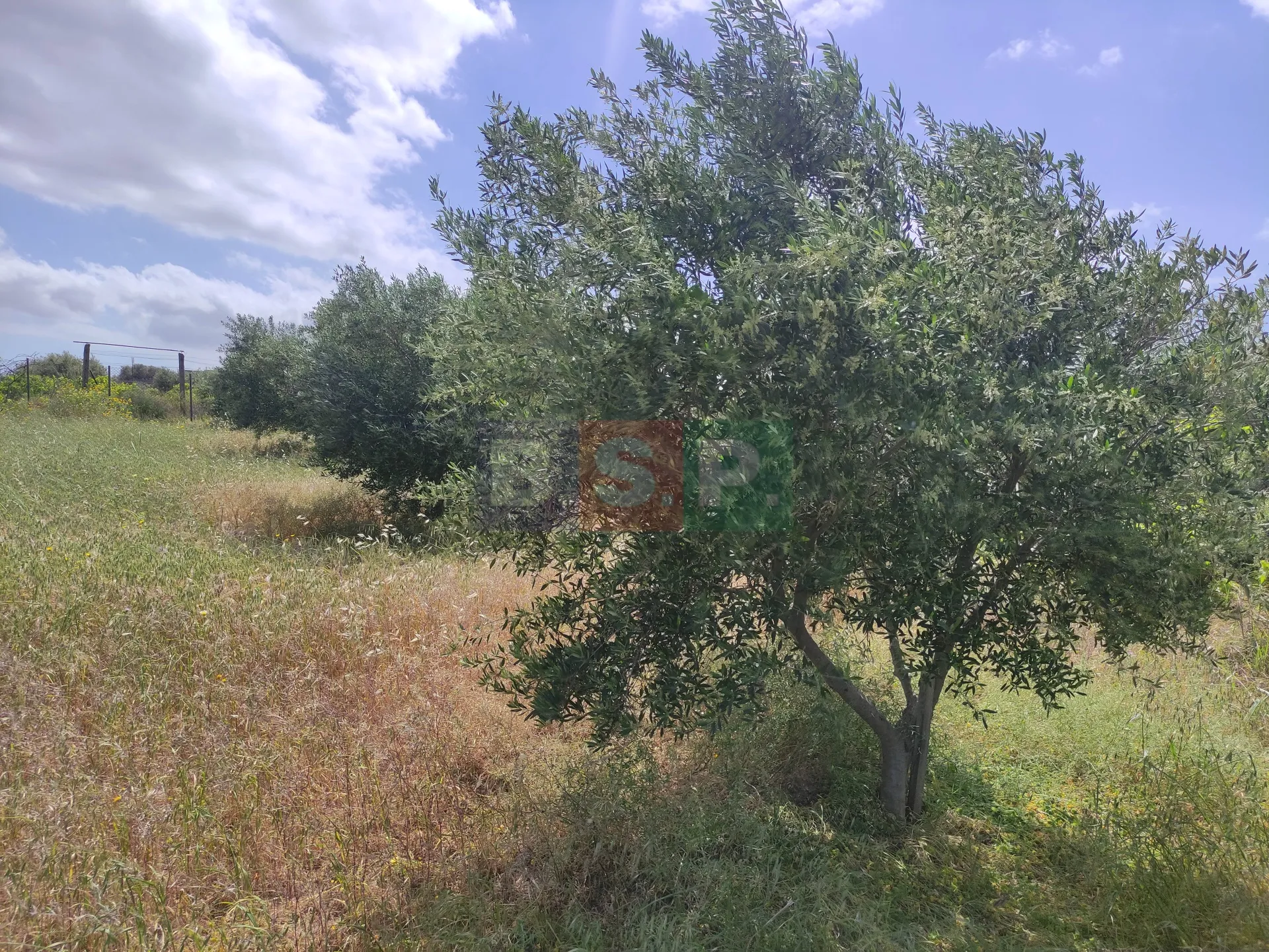 Οικόπεδο 3288τ.μ.  - 2