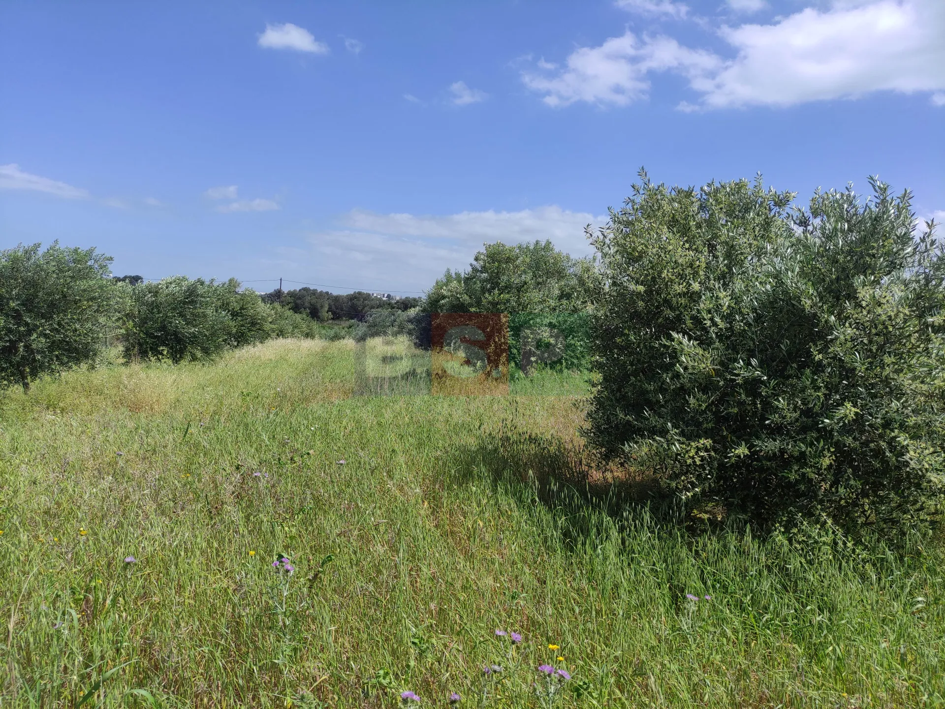 Οικόπεδο 3288τ.μ.  - 3