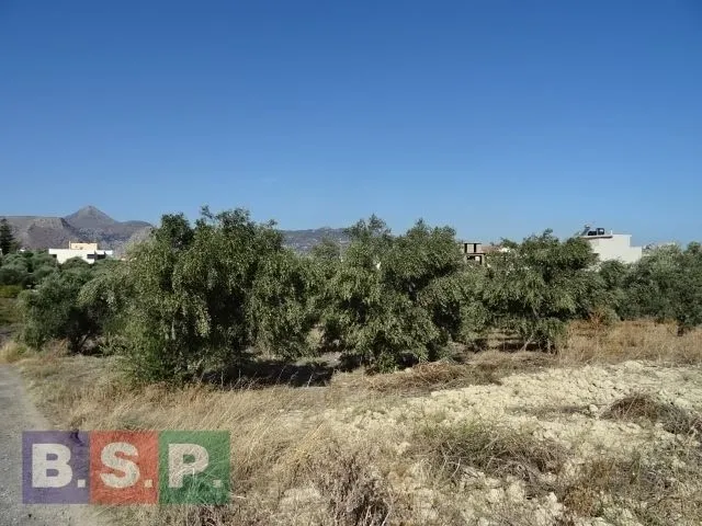 Οικόπεδο 5046τ.μ.  - 2