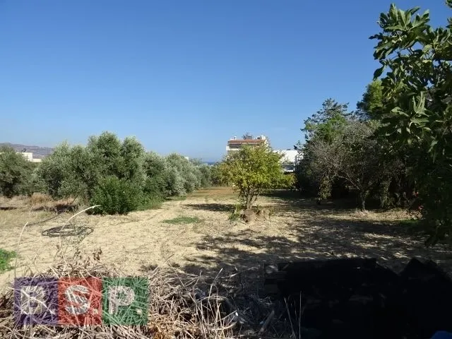 Οικόπεδο 5046τ.μ.  - 5