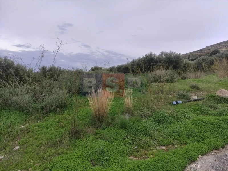 Αγροτεμάχιο 4822τ.μ.  - 4