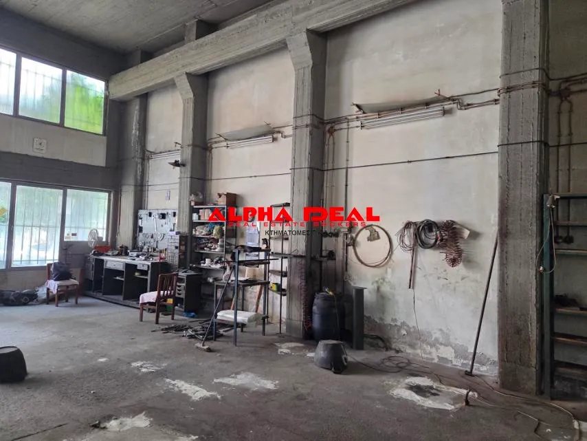 Standalone office building 150m²  - 5