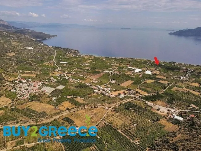 Οικόπεδο 1560τ.μ.  - 3