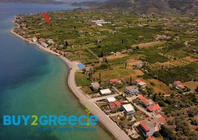 Οικόπεδο 1560τ.μ.  - 4