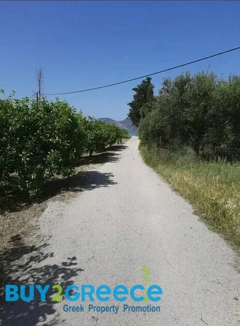 Οικόπεδο 1560τ.μ.  - 5