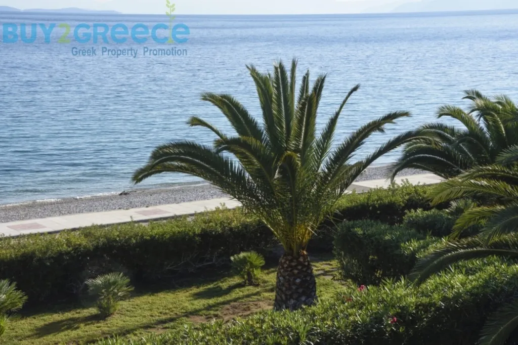 Detached house 395m²  - 3