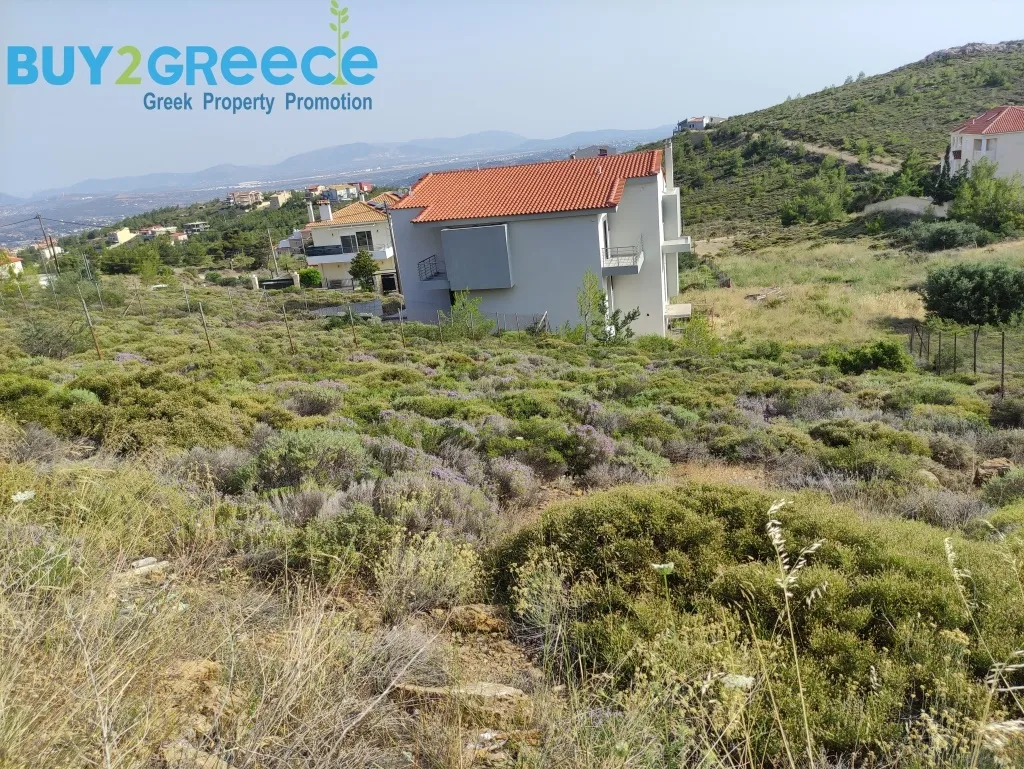 Plot 500m²  - 5