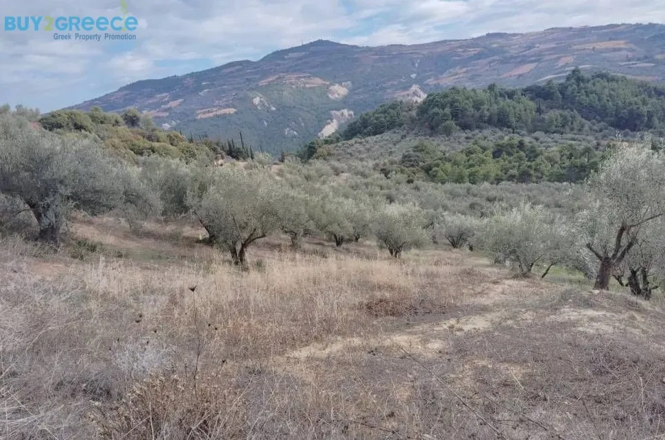 Αγροτεμάχιο 27857τ.μ.  - 2
