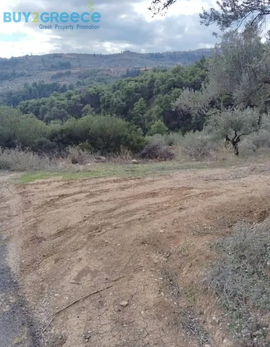 Αγροτεμάχιο 27857τ.μ.  - 3
