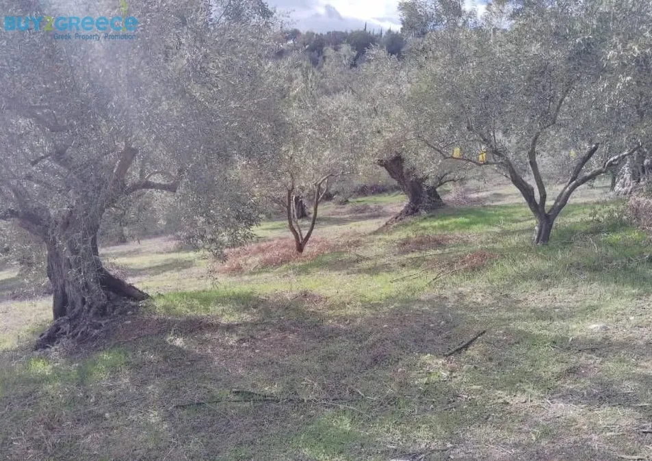 Αγροτεμάχιο 27857τ.μ.  - 5