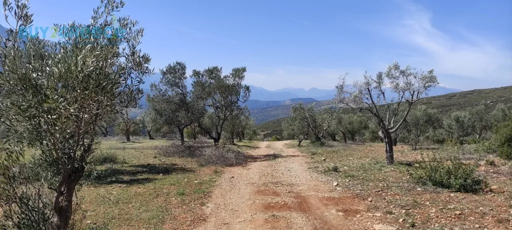 Land Parcel 16248m²  - 3