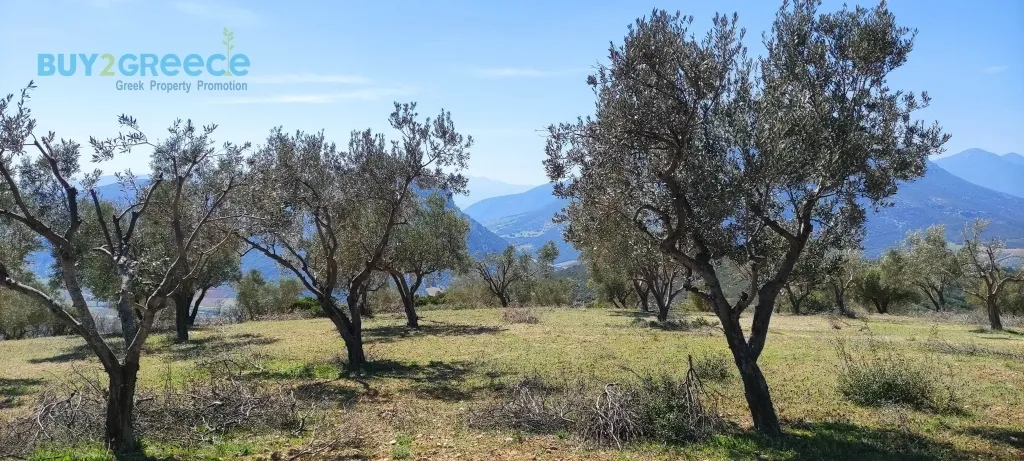 Land Parcel 16248m²  - 4