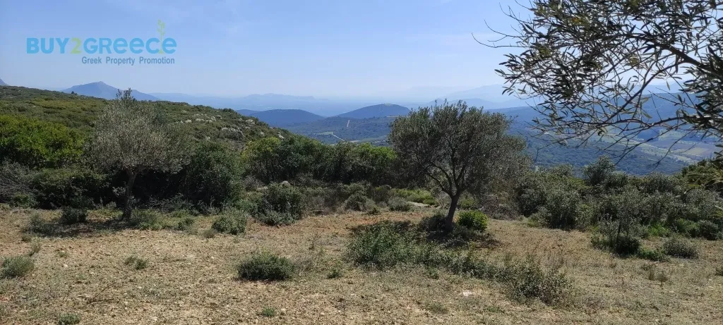Land Parcel 16248m²  - 5