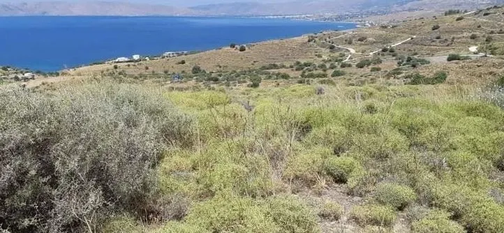 Plot 500m²  - 3