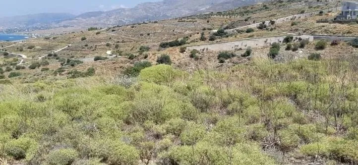 Plot 500m²  - 4