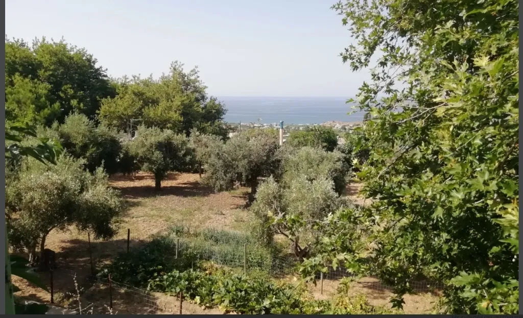 Plot 1750m²  - 3
