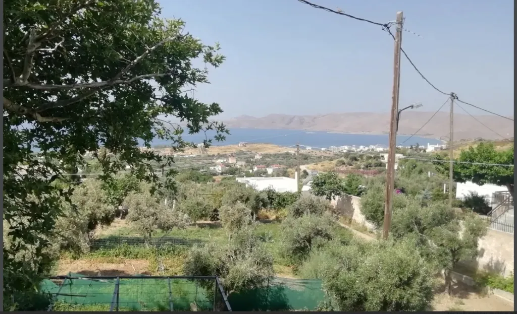Plot 1750m²  - 4