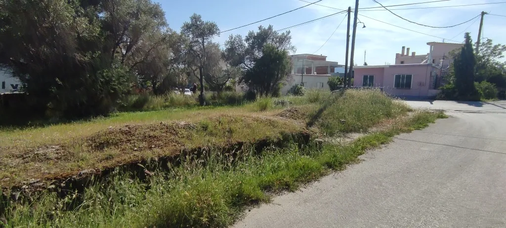 Plot 302m²  - 3