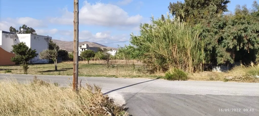 Plot 598m²  - 3
