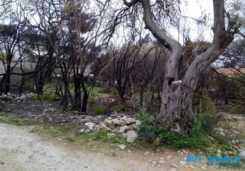 Οικόπεδο 319τ.μ.  - 3