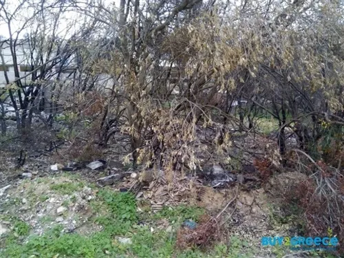 Οικόπεδο 319τ.μ.  - 4