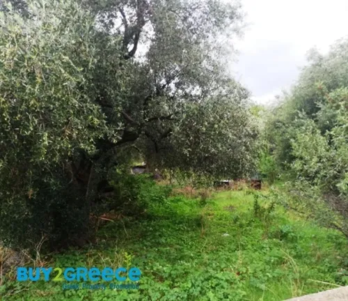 Plot 679m²  - 3