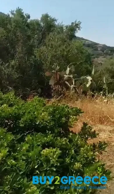 Οικόπεδο 500τ.μ.  - 2