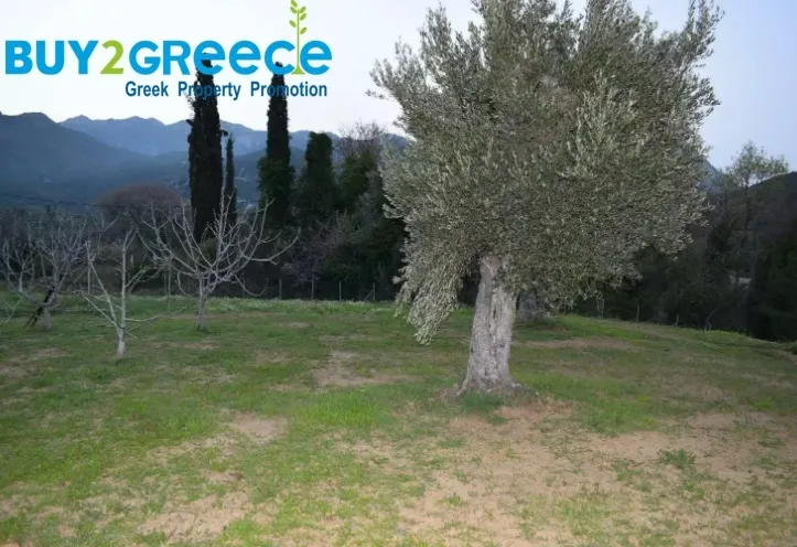 Plot 1500m²  - 3